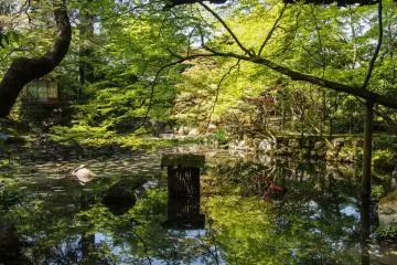A sunny spring day at the garden.