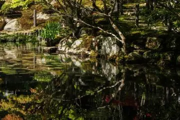 Picture perfect reflections on the water.