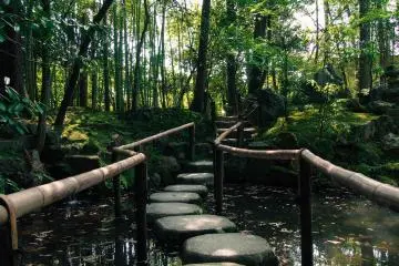 A path of stones to skip your way across the pond.