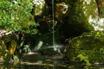 The sound of this small waterfall and maybe a few birds chirping is all you can hear.