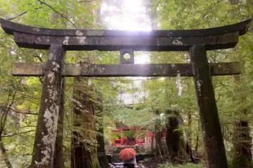 Undameshi-no-torii is the gate leading into Takino’o Shrine. Undameshi means “try your luck”. Try your luck by trying to throw three rocks through the hole at the head of the gate. If you make it through, you will have good luck.