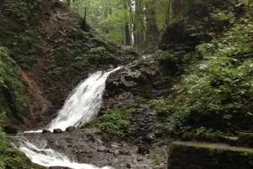 Shiraito Falls literally means White Thread Falls. It’s said that Priest Kukai wrote a song about the waterfall in 1486. The waterfall is ten meters in height, and is the last monument before making it to Takino’o Shrine.