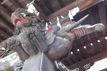 A lion and an elephant
