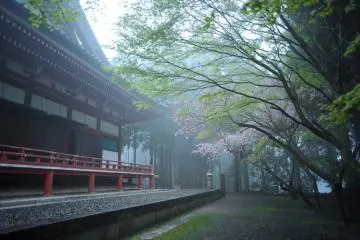 Le hall de lecture Daikodo et encore quelques cerisiers en fleurs
