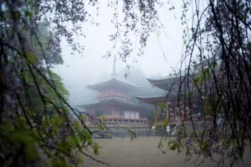 Un jour de brume