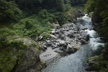 Along the river