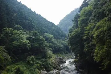 Valley of wonders