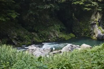 Fishing in the river