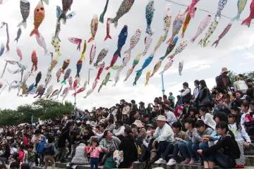 Carp-streamers fill the sky.