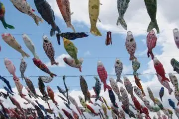 Carp-streamers fill the sky.