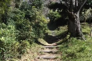 Rough steps lead up