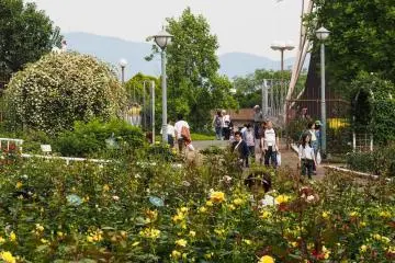 A sunny day at the Flower Expo.
