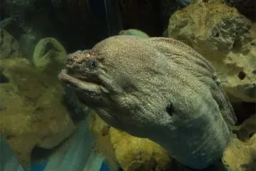 A friendly hello from a local resident.