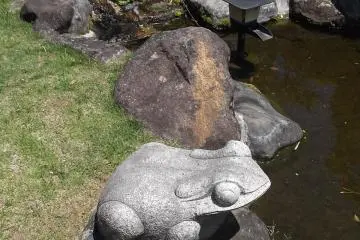 Two frogs and a crane by the pond