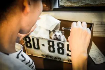 Pengunjung bisa mentraktir teman baru dengan biaya tambahan ¥500