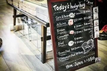 Menu landak hari ini