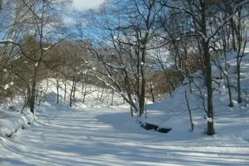 <p>Maybe a path, maybe a stream</p>