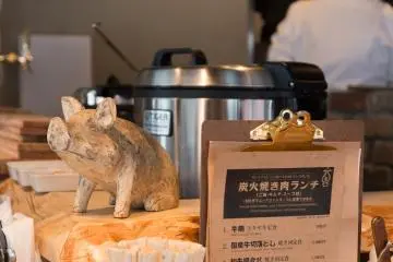 Cute little piglet at the bar