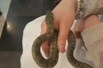 Made a friend