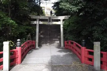 Gallery image