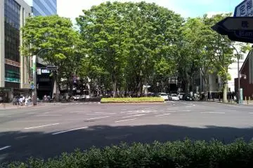 Sendai, the city of trees