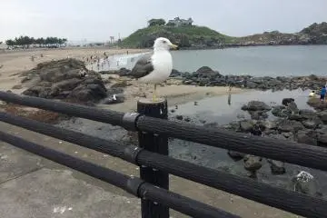 Hello friend