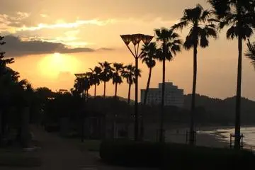 A la découverte d'Aoshima