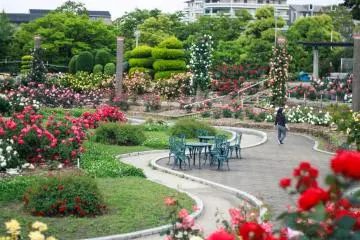 A woman walking along the pathway of the park