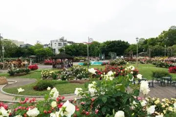 A bigger view of the park from the pavillion
