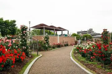Pavillions