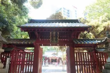 Gallery image