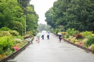 Men walking home from work and ladies walking their dogs
