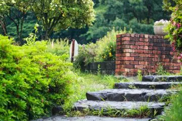 Stairway going to pond