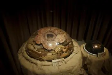 Rafflesia ดอกไม้ที่ใหญ่ที่สุดในโลก