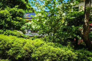 Le jardin de l'un des nombreux ryokan traditionnels
