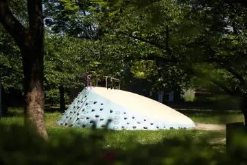 Dome climbers for kids