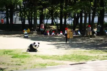 A panda-riding toy exposed under sunlight