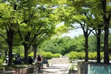 Elderly people taking a rest under the trees