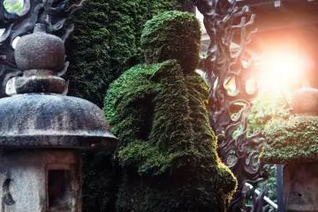 Image of Fudo against a harsh light