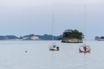 เกาะ 260 เกาะกระจัดกระจายอยู่ในอ่าว