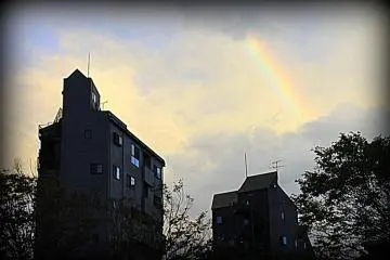 Somewhere over the rainbow blue birds fly...