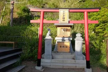 Gallery image