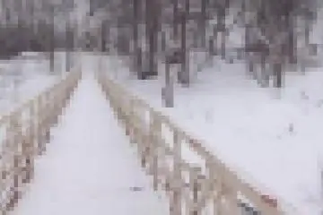 Snow covered stream