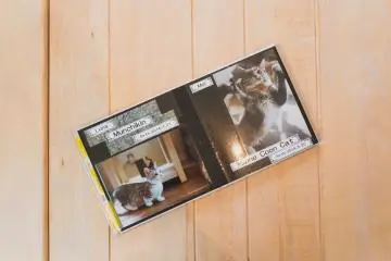 Cat menu; food and drinks menu at the back