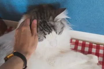 Soft to the touch