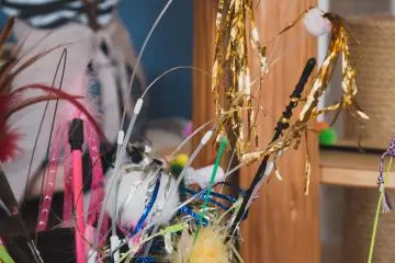 Toys for you to attract any cat's attention