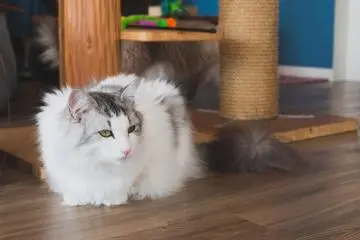 Jack still looking sleepy even after he just woke up
