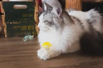 Not quite ready to play yet