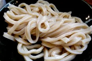 Thick udon noodles