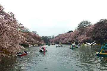 View of Ingoshira Lake from the bridge. 